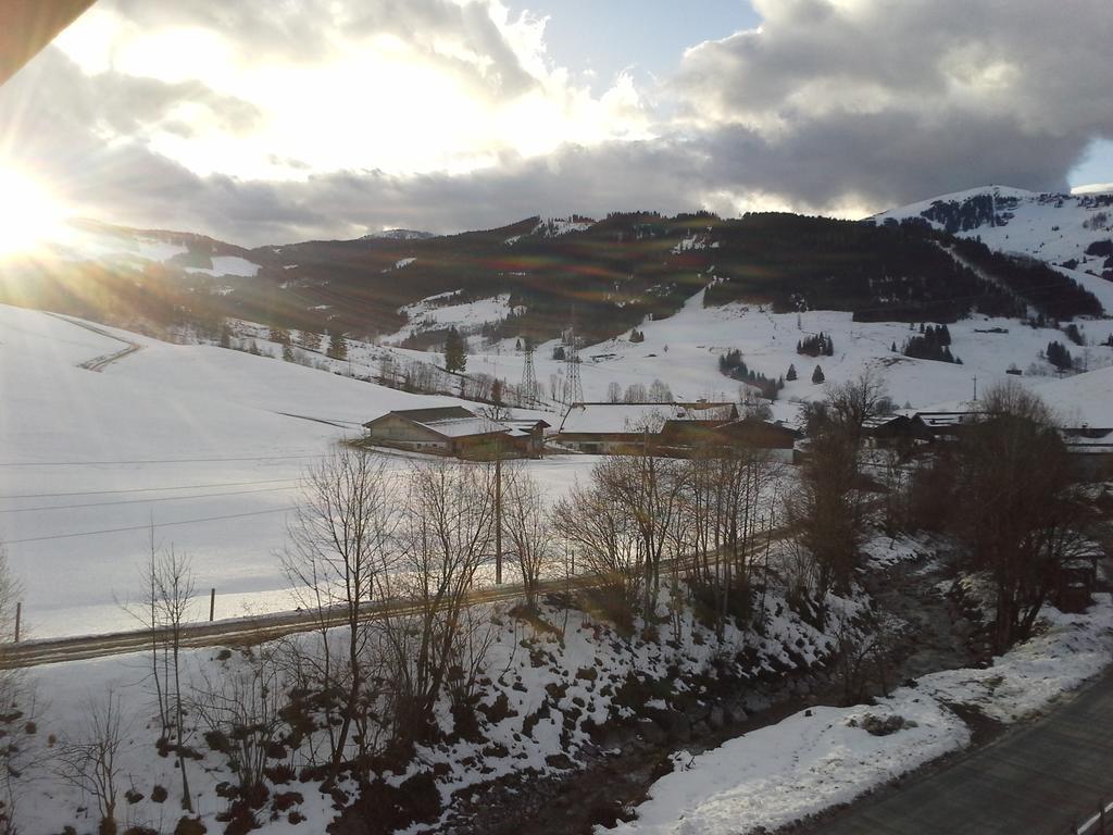 Onemooshof Apartment Maria Alm am Steinernen Meer Luaran gambar